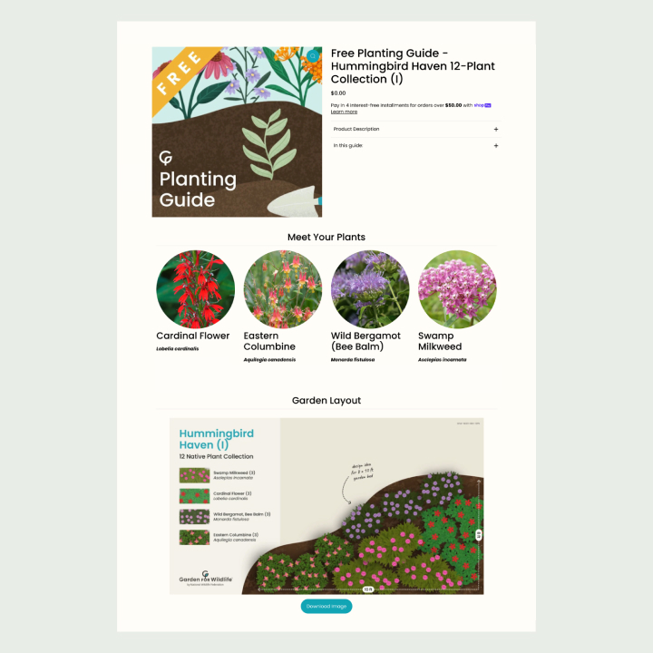 planting-guides planting-guides